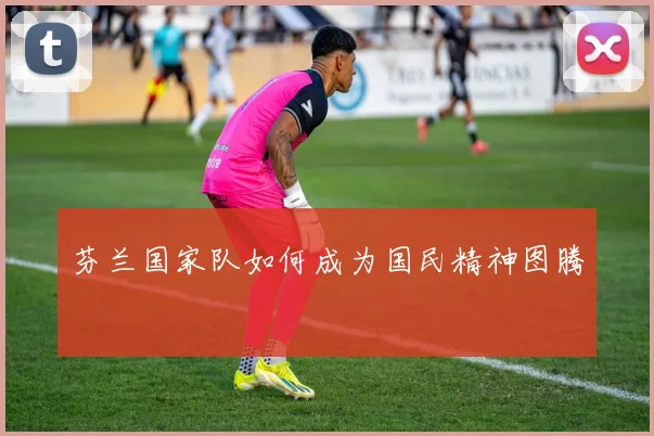 芬兰国家队如何成为国民精神图腾