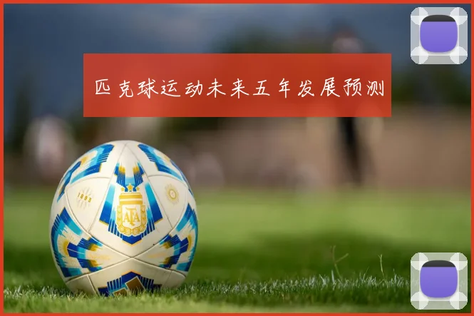 匹克球运动未来五年发展预测