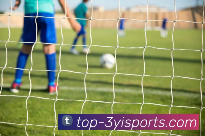 三亿官网全站App